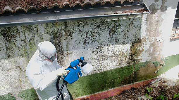 Top rated local Commercial Mold Remediation specialists in Laurel, MD